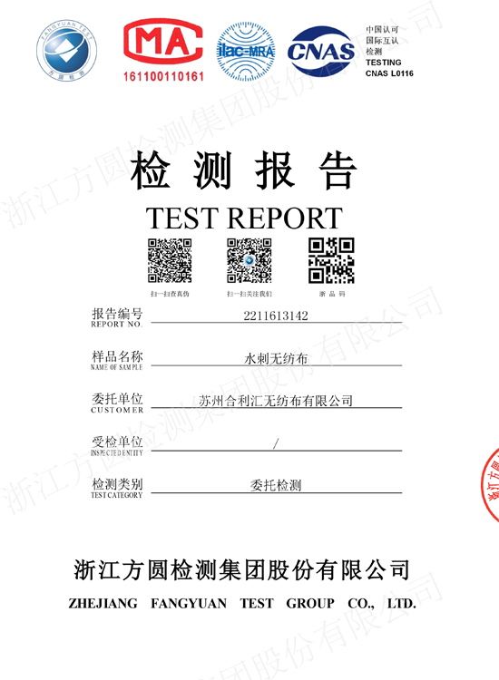Test rapport